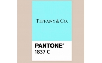  色彩的神仙之名，PANTONE為各大品牌或領域定制的色彩清單